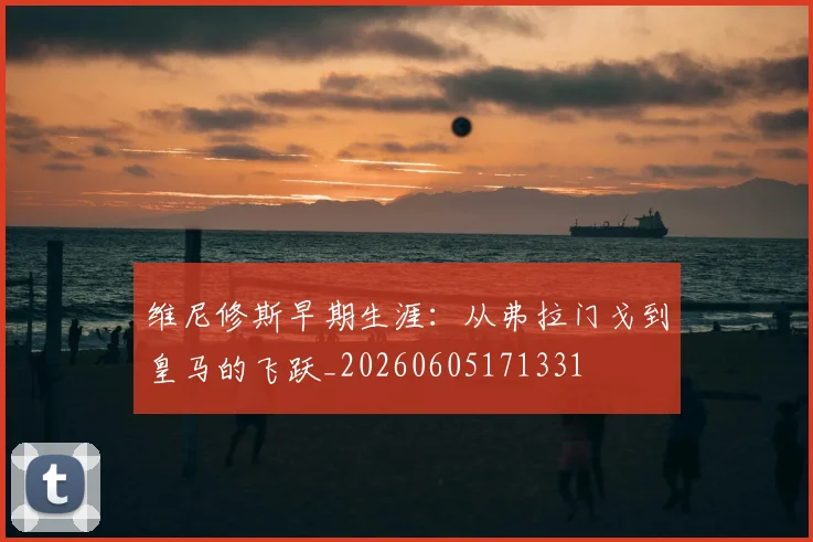 维尼修斯早期生涯：从弗拉门戈到皇马的飞跃_20260605171331