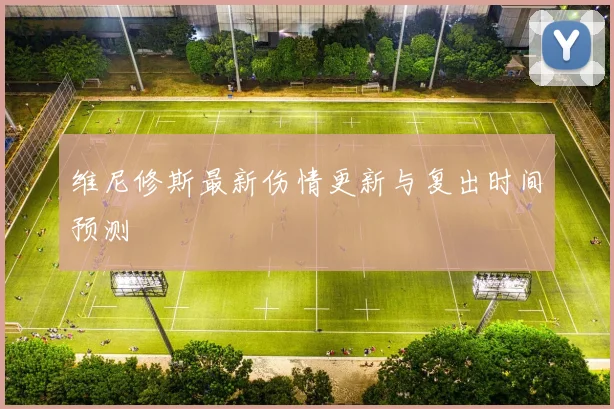 维尼修斯最新伤情更新与复出时间预测
