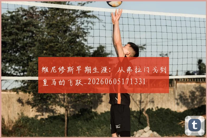 维尼修斯早期生涯：从弗拉门戈到皇马的飞跃_20260605171331